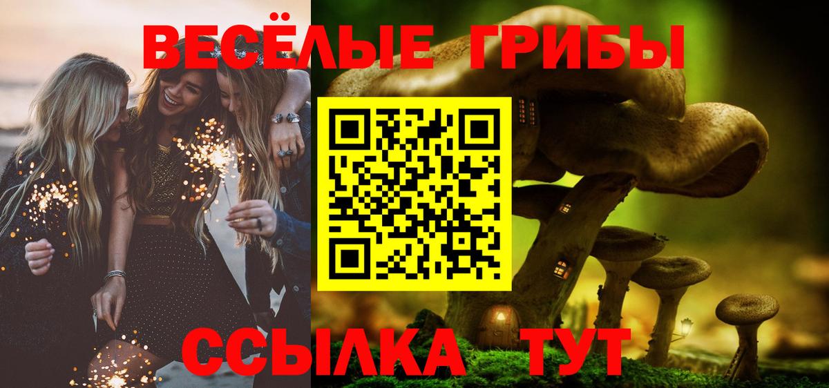 Галлюциногенные грибы прущие грибы Осинники