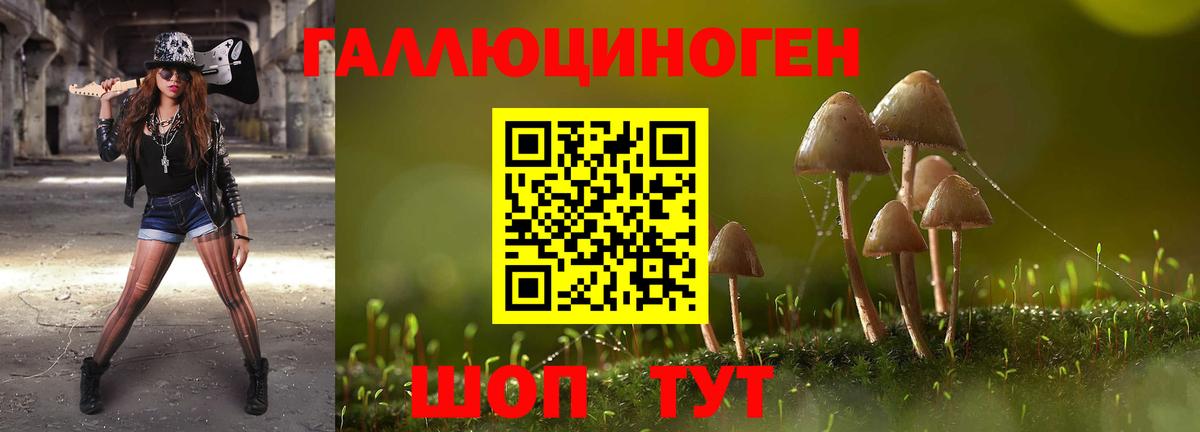 Галлюциногенные грибы прущие грибы  Вход с VPN  Осинники 